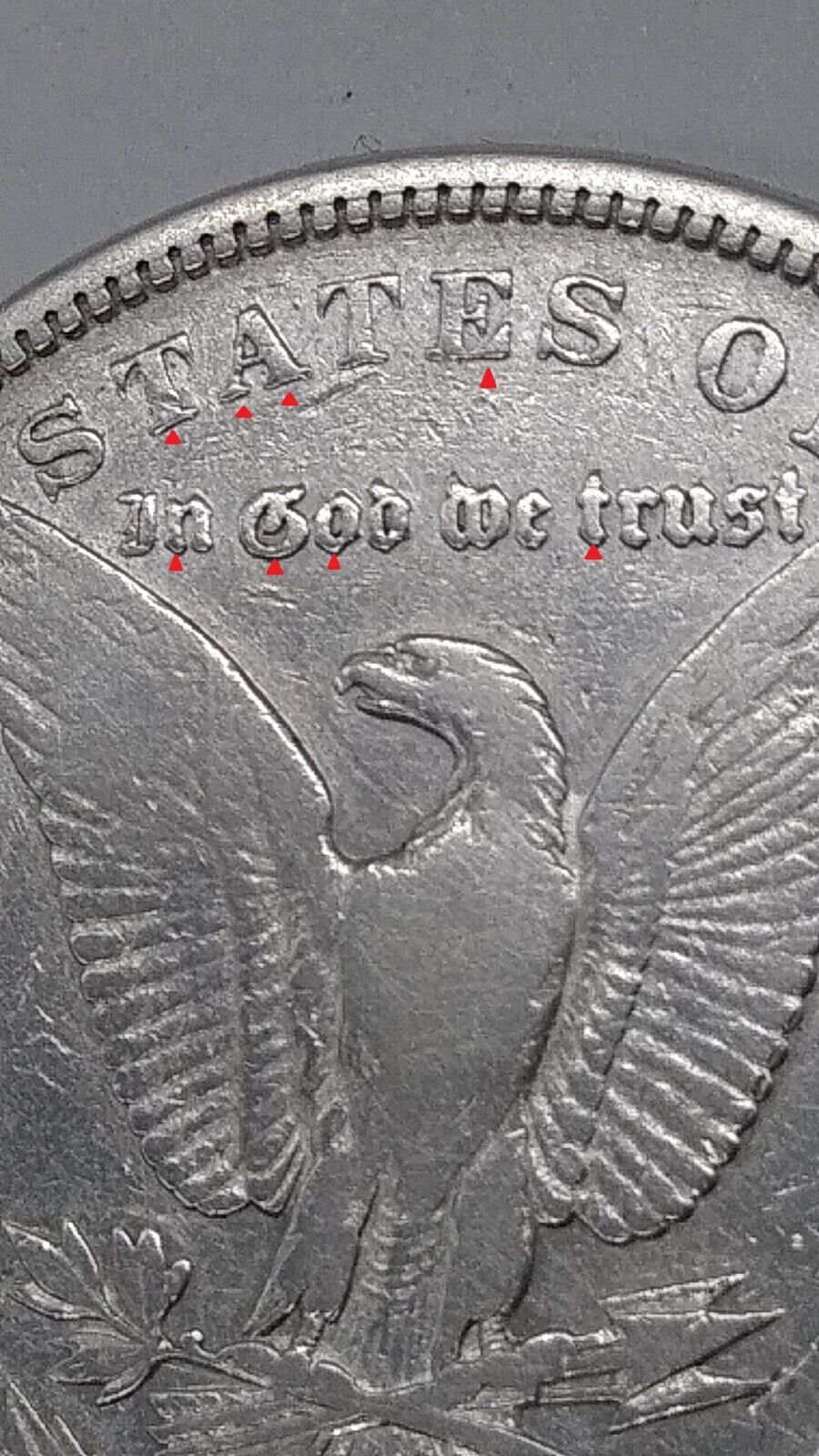 1880-S-Morgan-Dollar-So-Much-Going-On