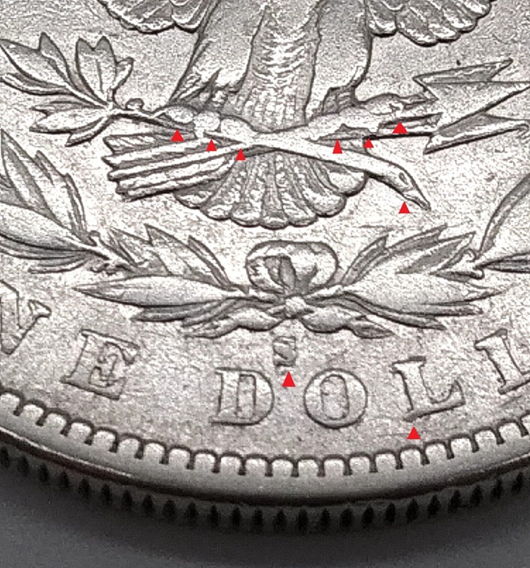 1880-S-Morgan-Dollar-So-Much-Going-On