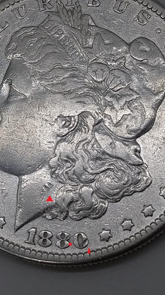1880-S-Morgan-Dollar-So-Much-Going-On