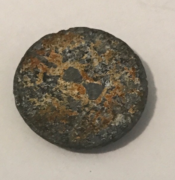 Coin-Has-A-Flower-On-It?