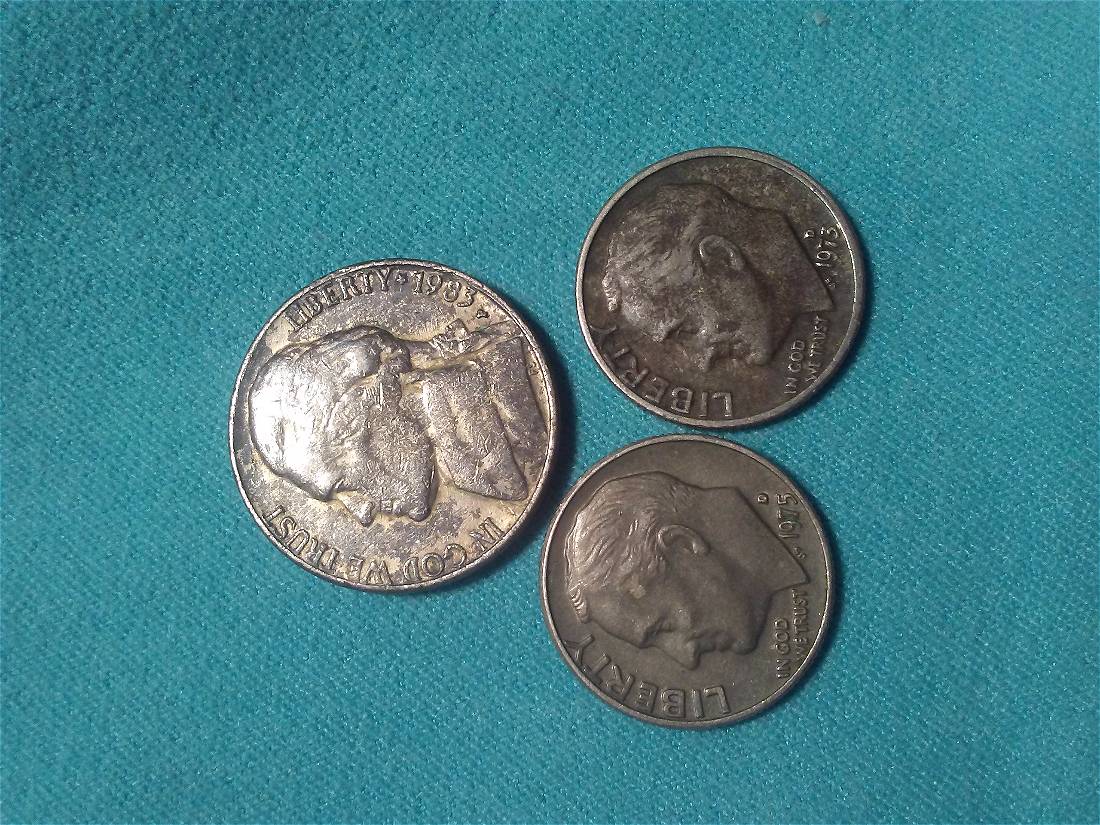 Can-Someone-Help-Me-Identify-The-Error-In-These-Coins
