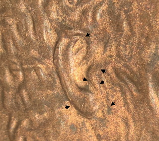 2000-D-LMC-Ear-Problem?