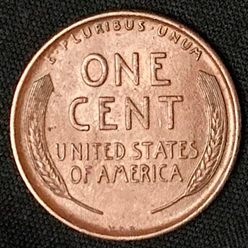 1909-VDB-Lincoln-Wheat-Cent--DDO