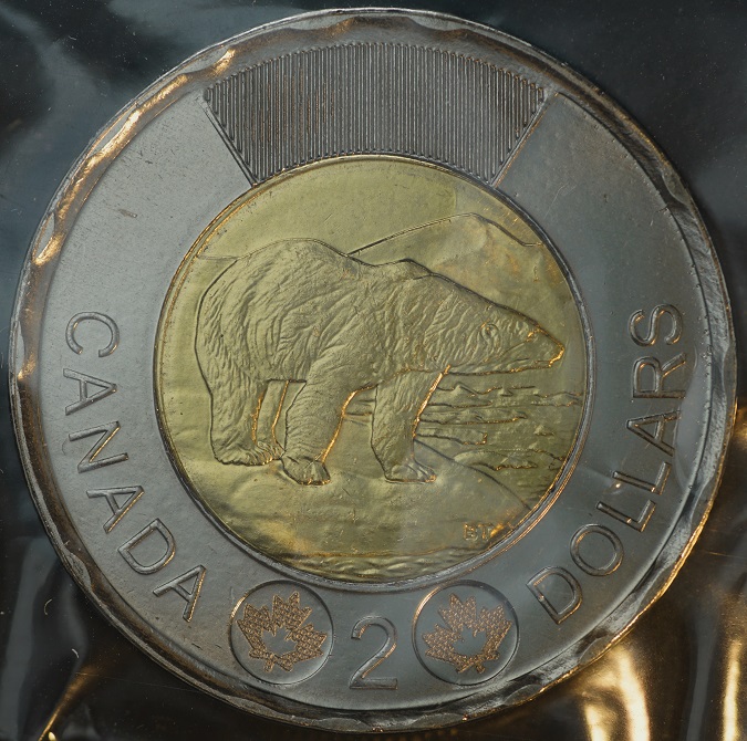 Looking-For-Input-On-The-Best-Methods-&-Equipment-For-Taking-Coin-Pics.....