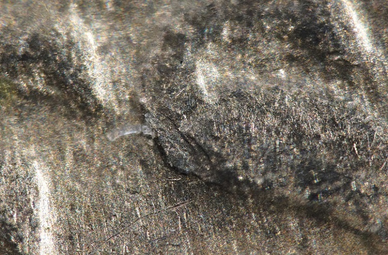 Extreme-Macro-Coin-Photography
