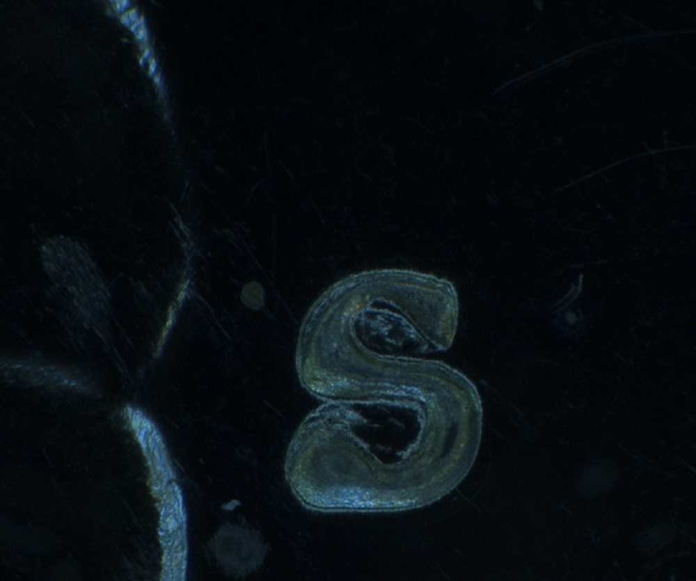 Washington-Quarters.