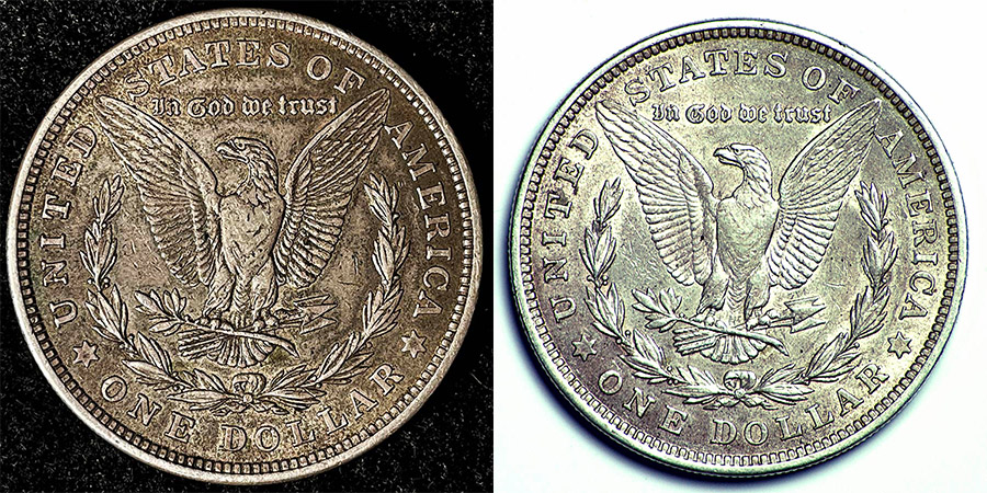 Common-1921-Morgan-Dollar