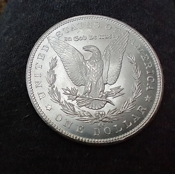 1884-CC-Moragan--Variety-Or-Error?