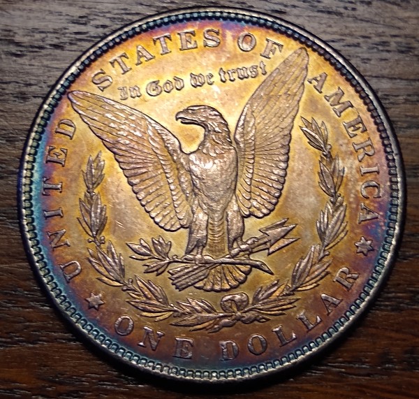 1884-P-Morgan-Dollar-Album-Toning