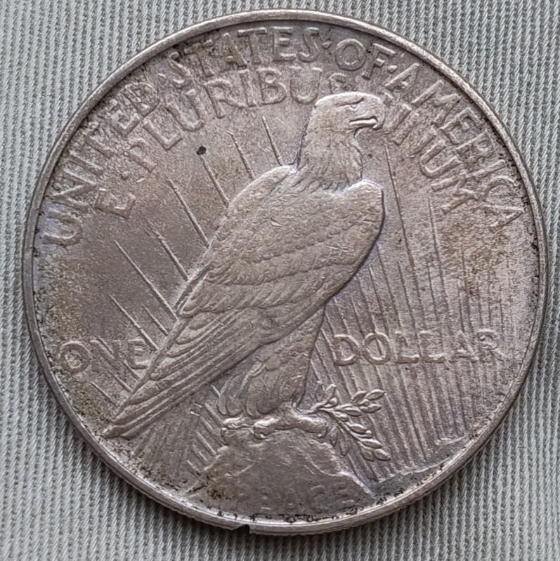 1922-Peace-Dollar---Worth-A-Dip-Or-Bullion-Tube?