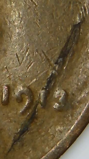 1913-Cent---Is-This-A-Lam?