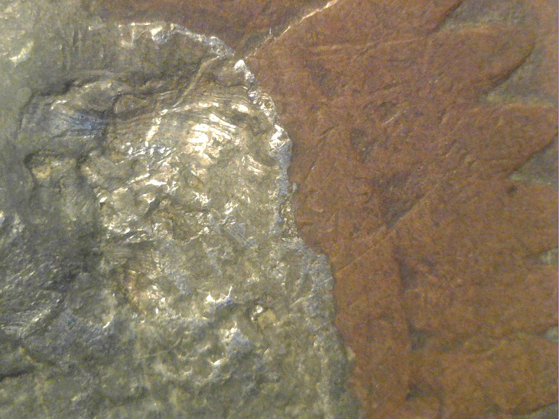 1901-IHP-With-Silver-Mixed-In?-Not-Sure-What-To-Think-Of-This-One