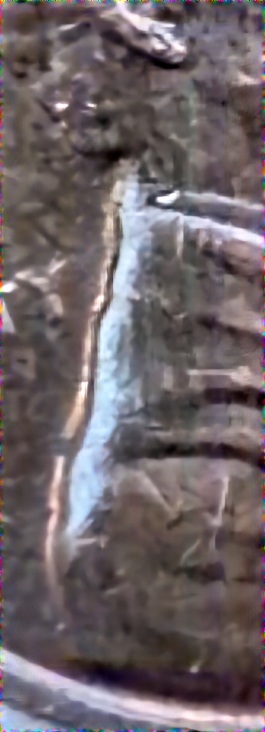 1972-Penny-Possible-D-D-O-On-Leaking-Jacket