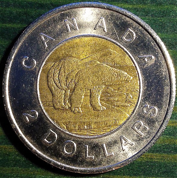 Counterfeit-2006-Toonie