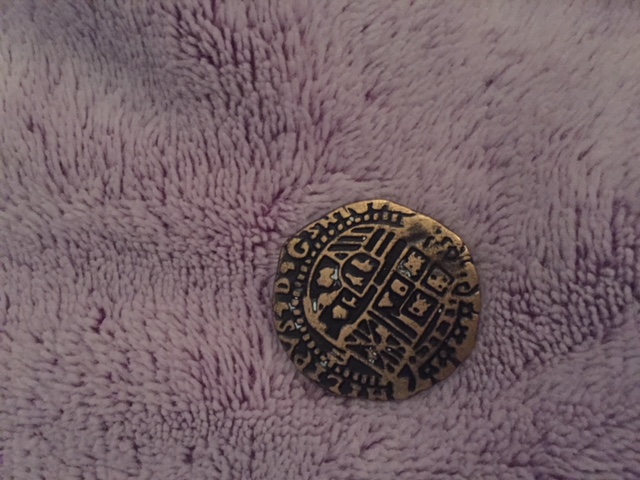 My-Granddaughter-Found-This-Near-School-In-Florida.-Can-You-Identify-It?