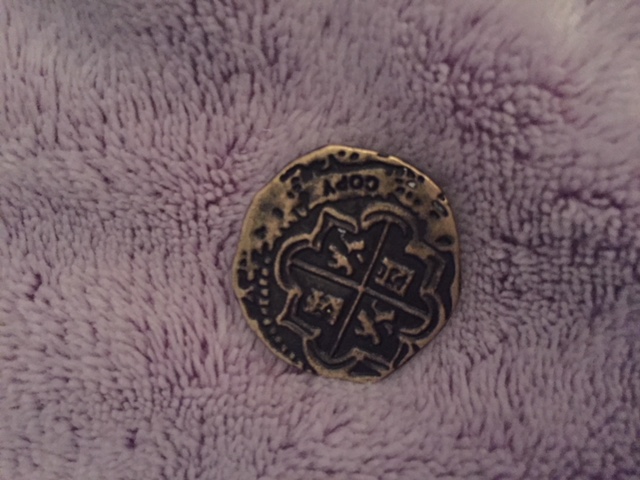 My-Granddaughter-Found-This-Near-School-In-Florida.-Can-You-Identify-It?