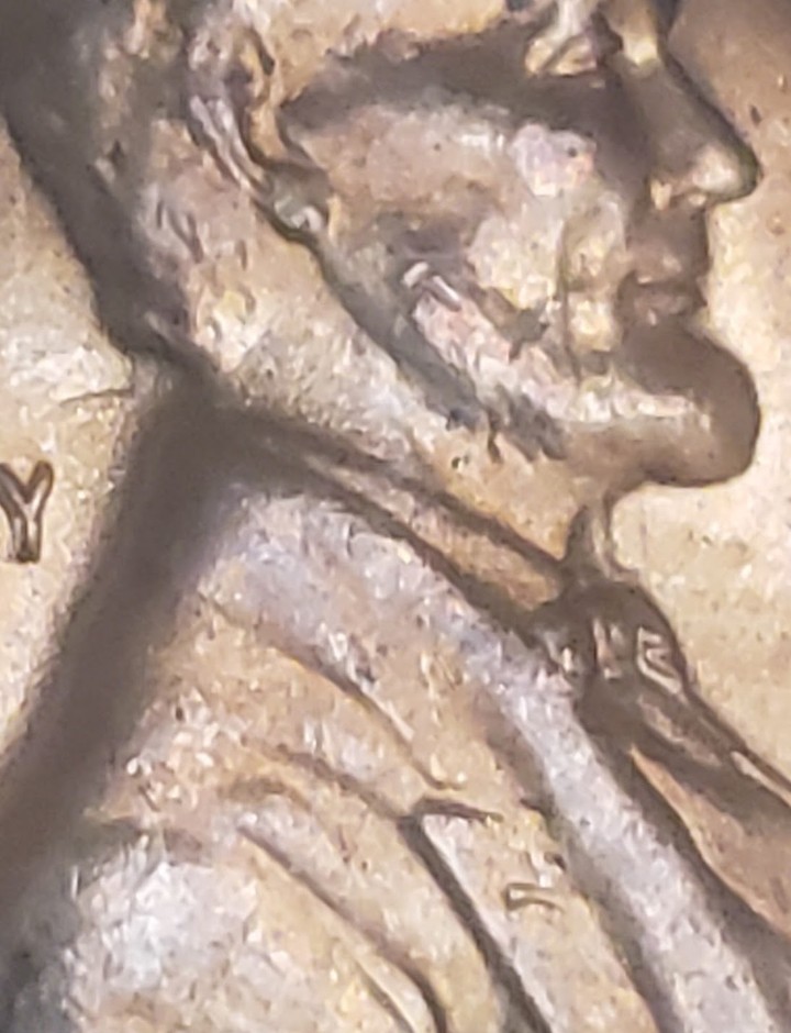 1955-D-LWC-Coin-#2-Reverse-Die-Clash