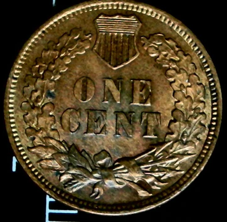 1906-Indian-Head-Cent-I-Got-A-New-Microscope-: