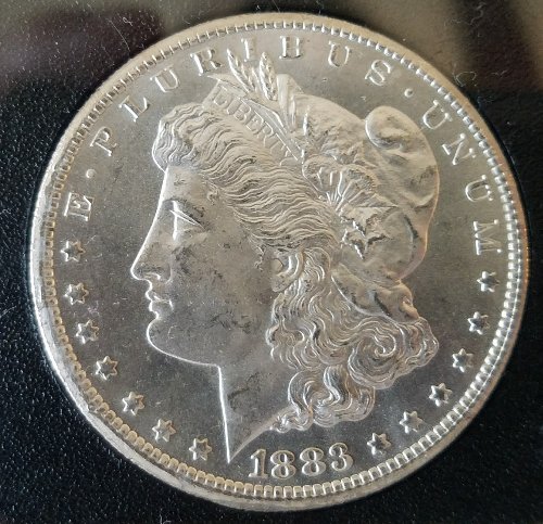 1883-CC-GSA-Morgan.--Grade-Ideas?