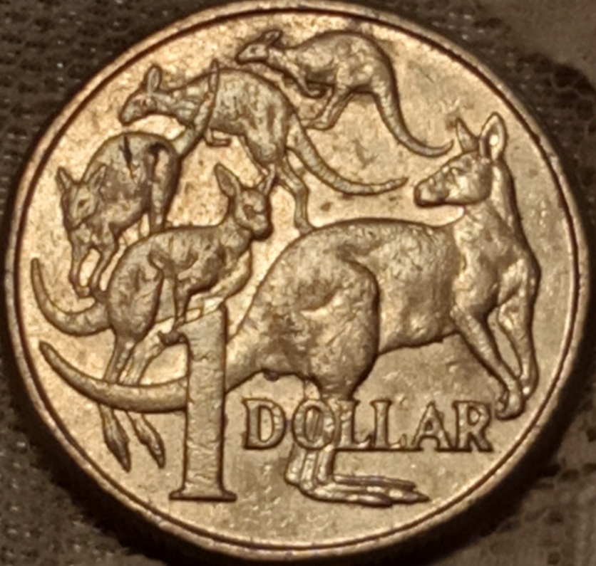 2010-$1-Mob-Of-Roos-Error