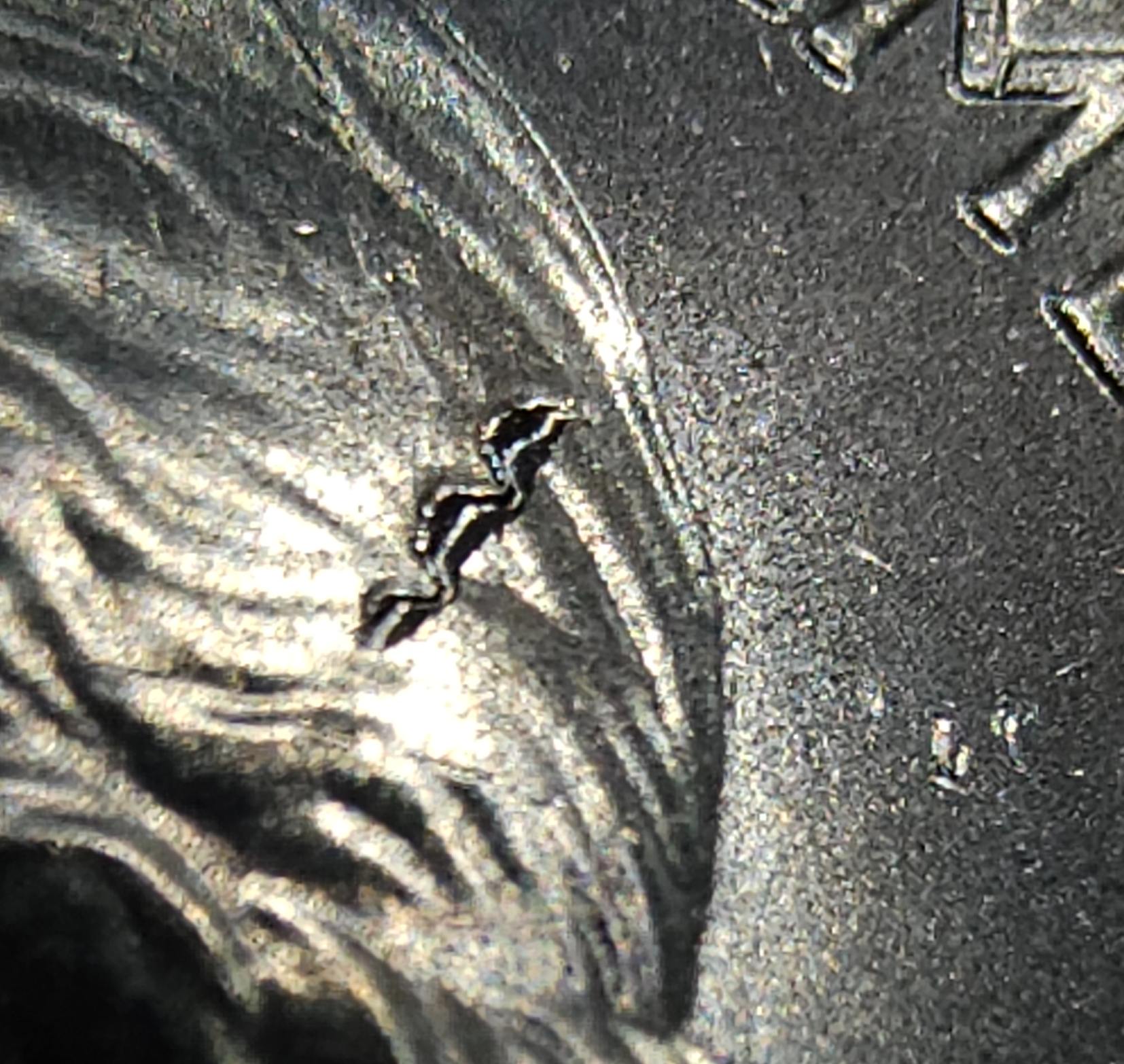 2020-D-Uncirculated-Vermont-State-Park-Quarter-Struck-Through-Or-PMD?