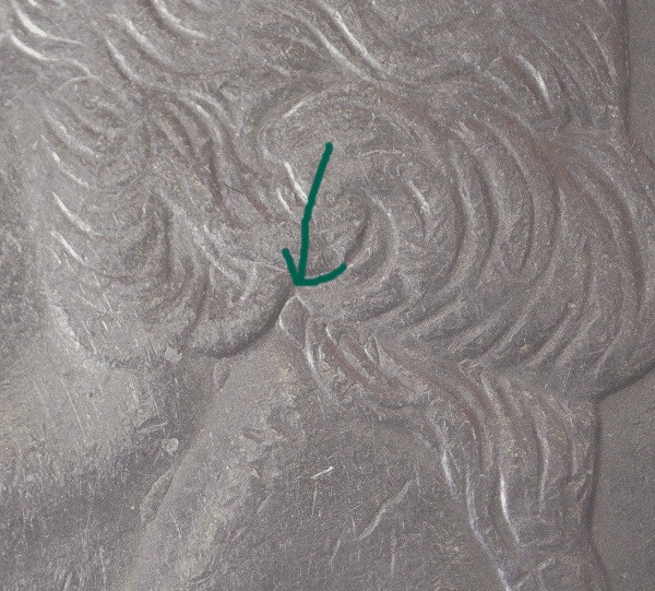 2000-P-Virginia-Quarter-Extra-Hair-Behind-Ear