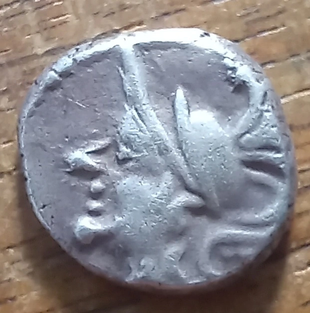 Continuing-List-To-Show-Everyones-Latest-Acquisitions