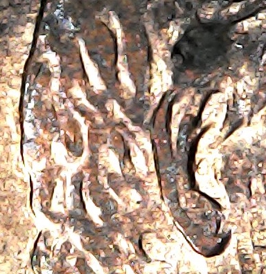 Have-1995-Penny-DDO-&--DDR-Help-With-Value!