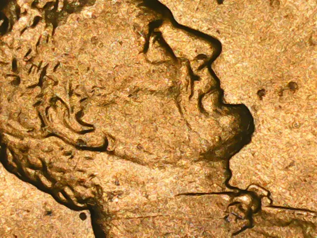 1984-D-LincolnS-DD-Earlobe?