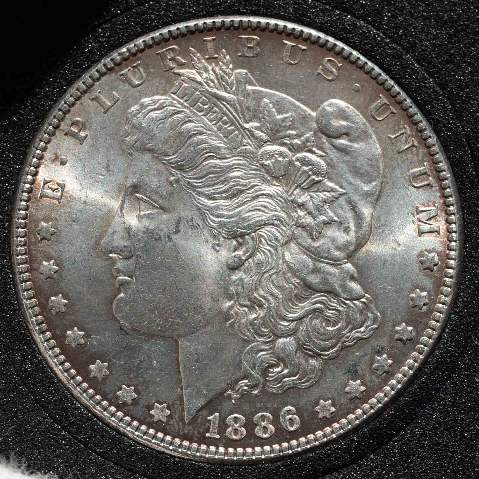Morgan-Dollar-From-1886