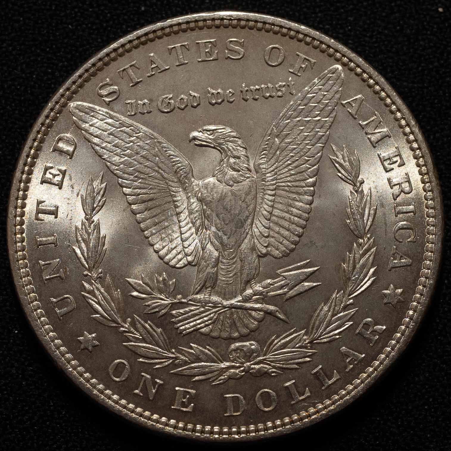 Morgan-Dollar-1884-+-1885-Grading
