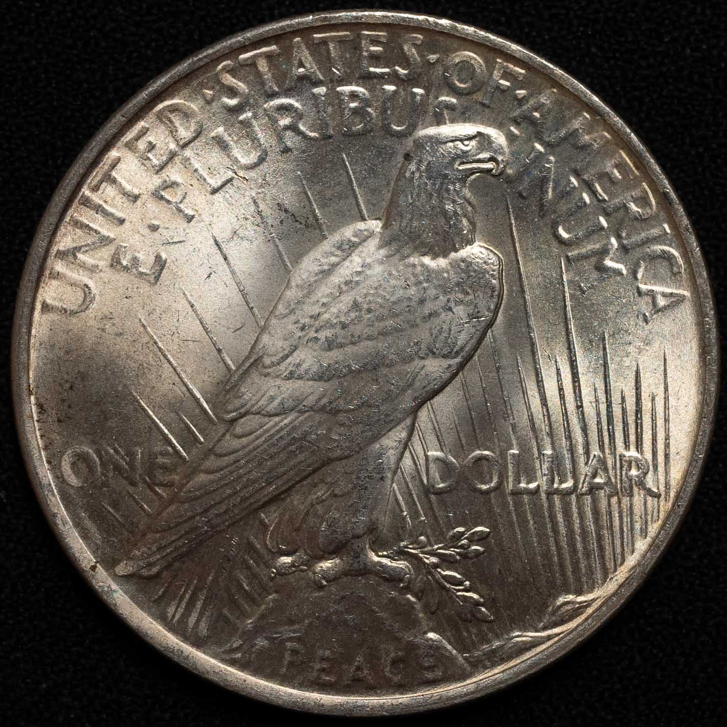 Peace-1922-Dollar-For-Grading