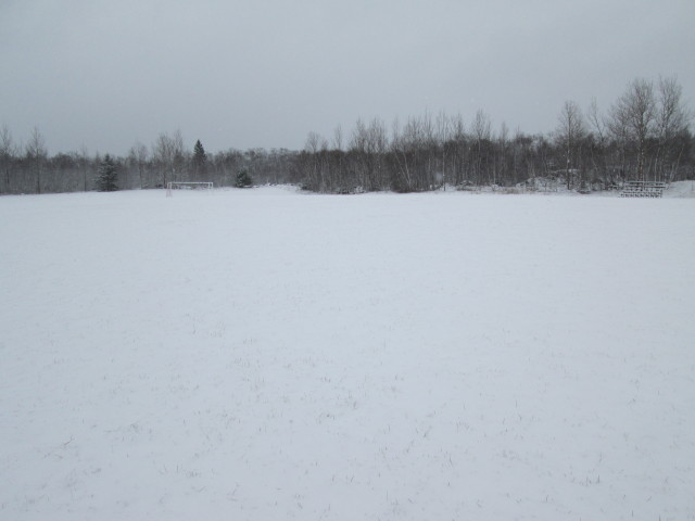 Time-For-A-Tundra-Tromp