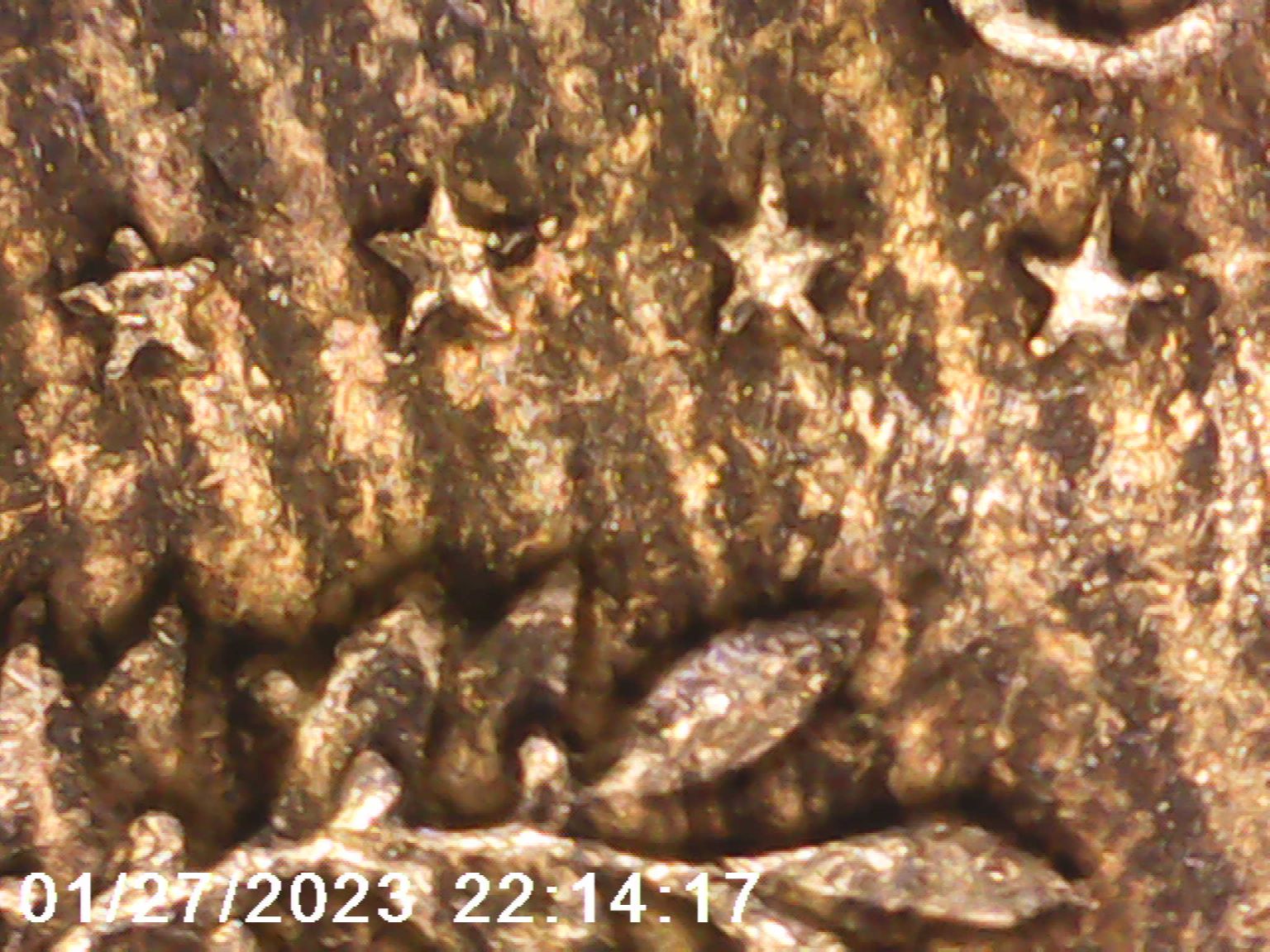 1964-Half-Dollar-With-Many-Parallel-Stripes