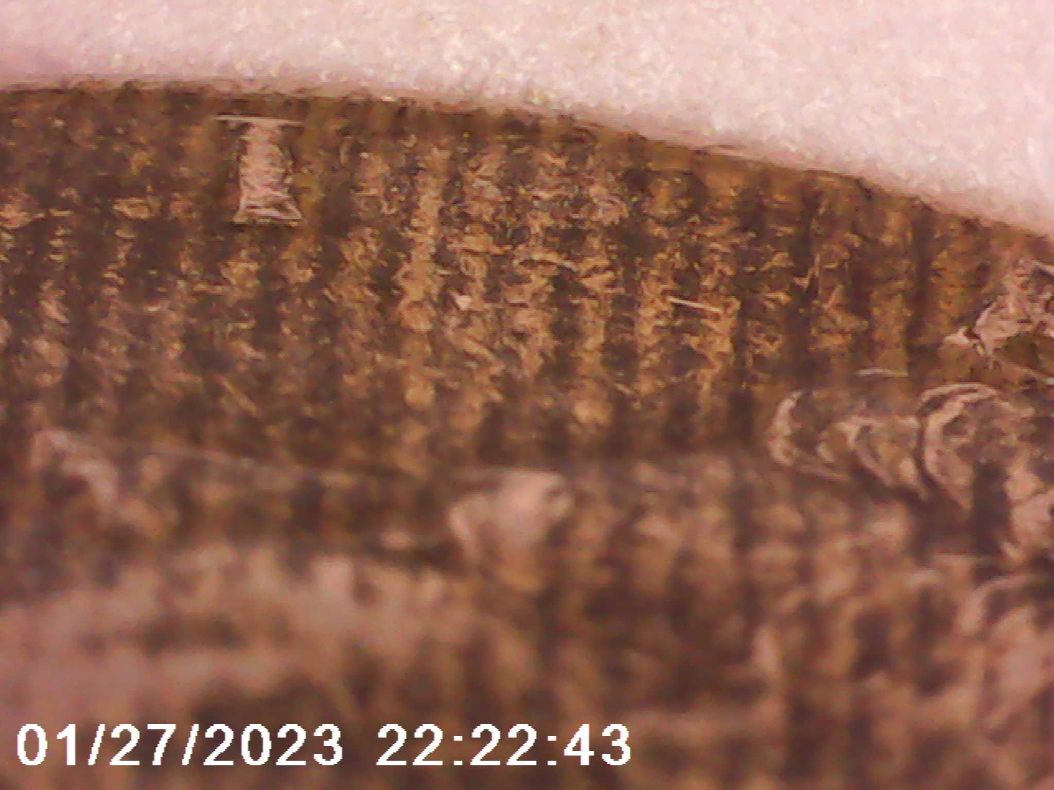 1964-Half-Dollar-With-Many-Parallel-Stripes