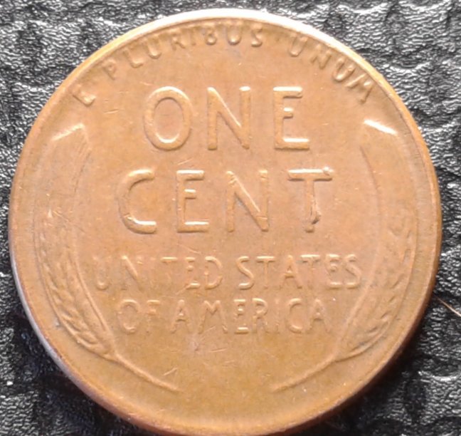1955-P--LWC;-MD-Or-DDO?