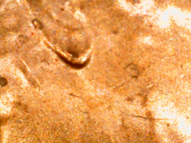 2022-D-Mint-Lincoln-Memorial-Cent-DDO-DDR