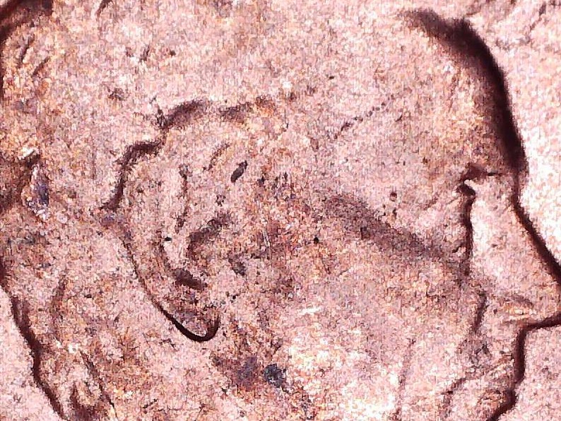 Interesting-Ear-On-Lincoln