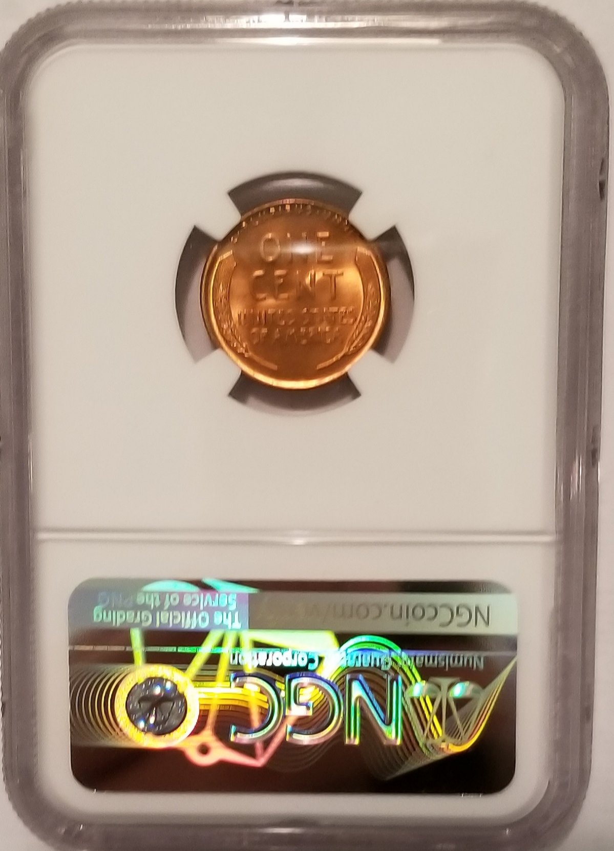 Continuing-List-To-Show-Everyones-Latest-Acquisitions