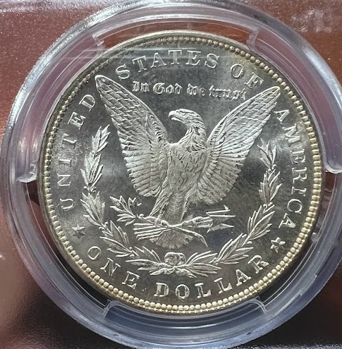 1885-And-1886-Morgans-For-Your-Consideration
