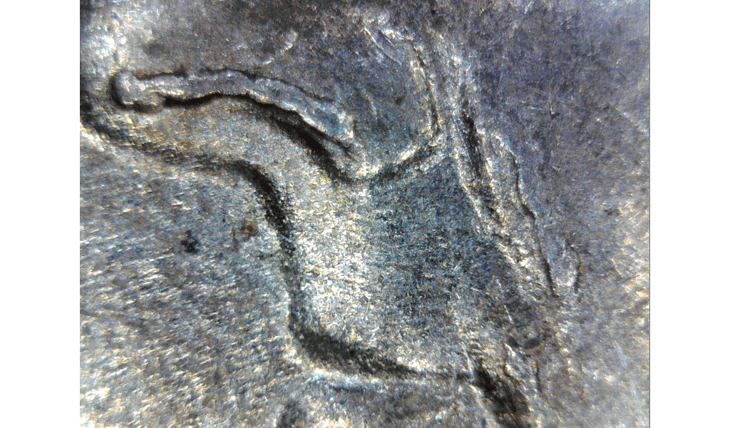 2000-P-Dime-Damage-By-/On-Nose-?
