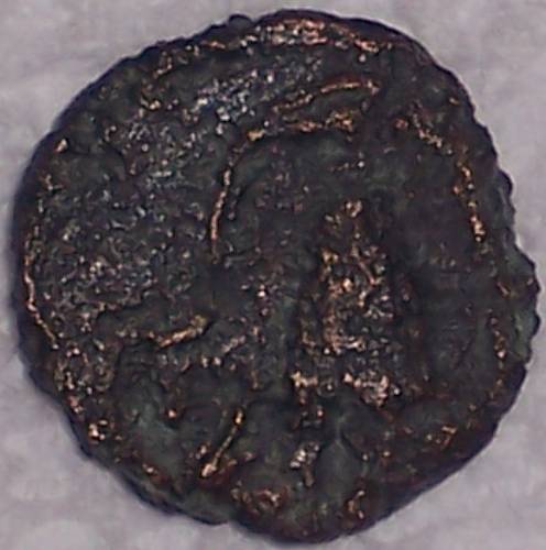 Very-Pitted-Shield-Coin