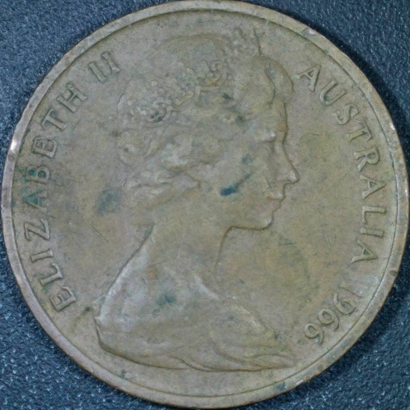 Post-Your-Coins-Representing-The-Animal-Kingdom.