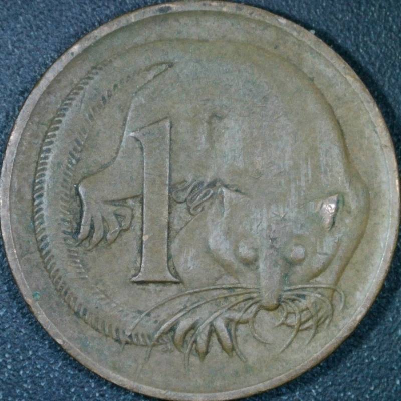 Post-Your-Coins-Representing-The-Animal-Kingdom.