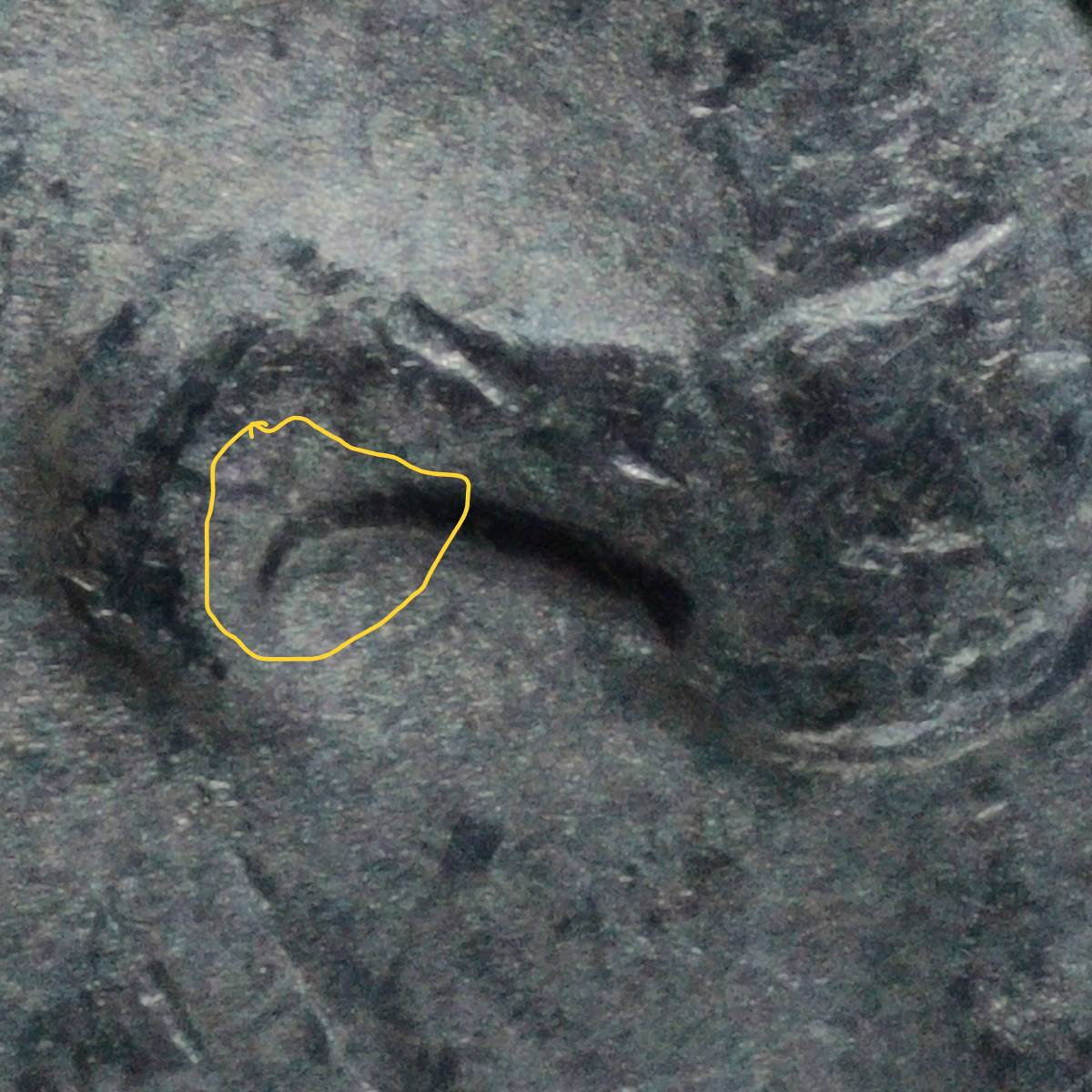 2023-P-Nickel:-WDDR-026-With-Possible-DDO