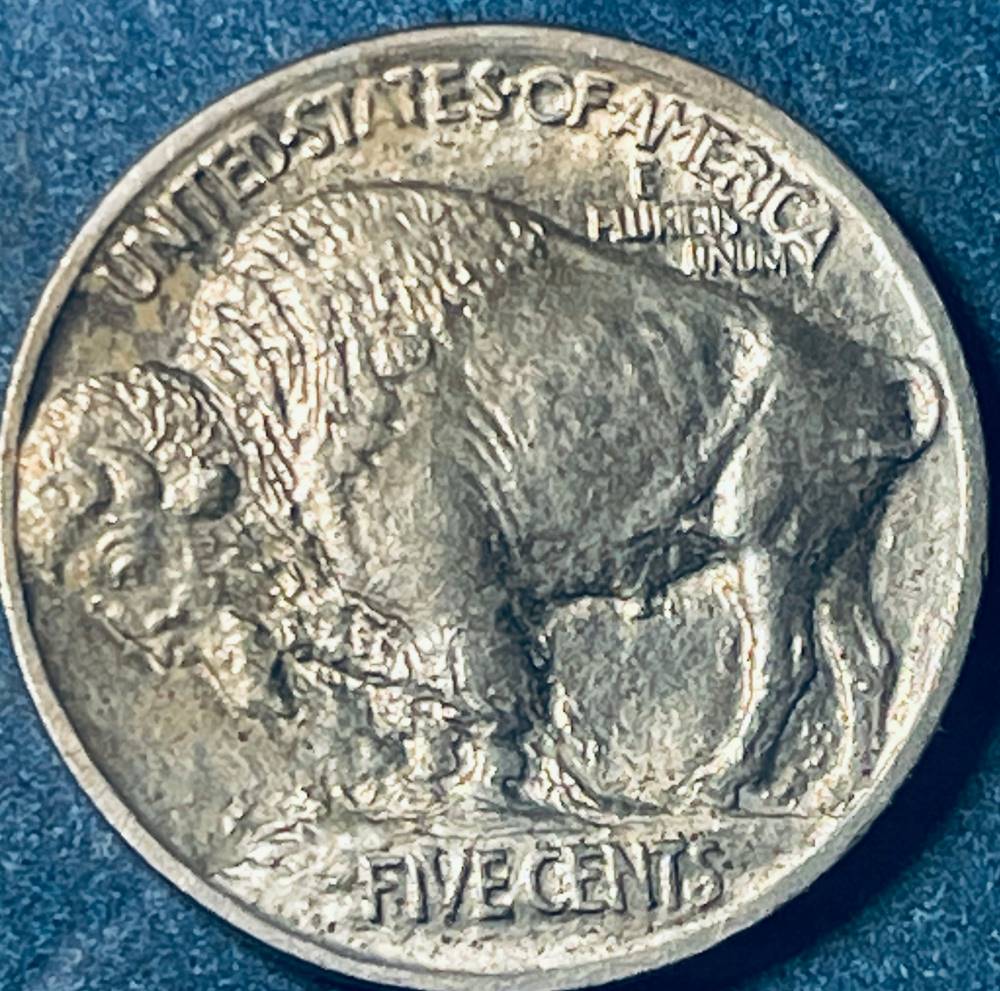 1913-Type-1-Buffalo-Nickel-Sold-For-$300