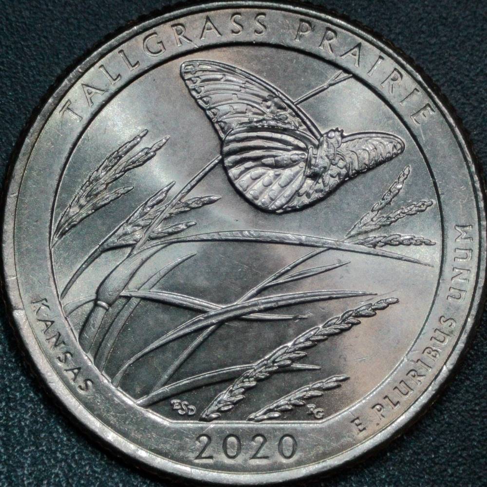 2020-P-Kansas-Quarter:-Chip,-Crack,-Or-Idb?