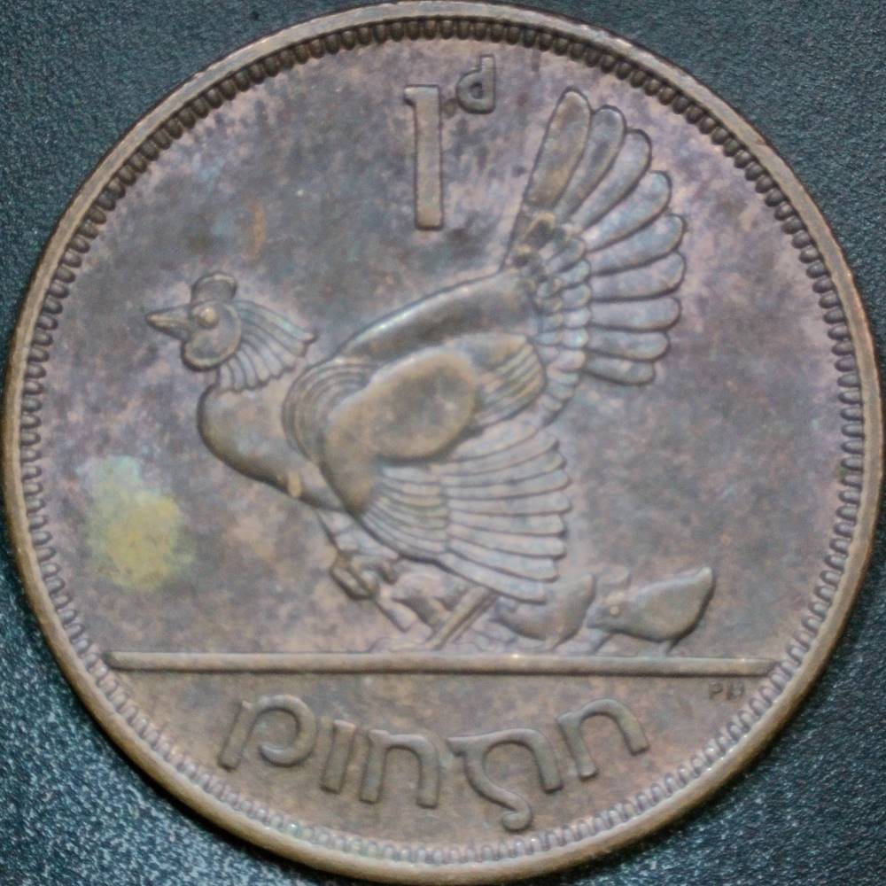 Post-Your-Bird-Coins