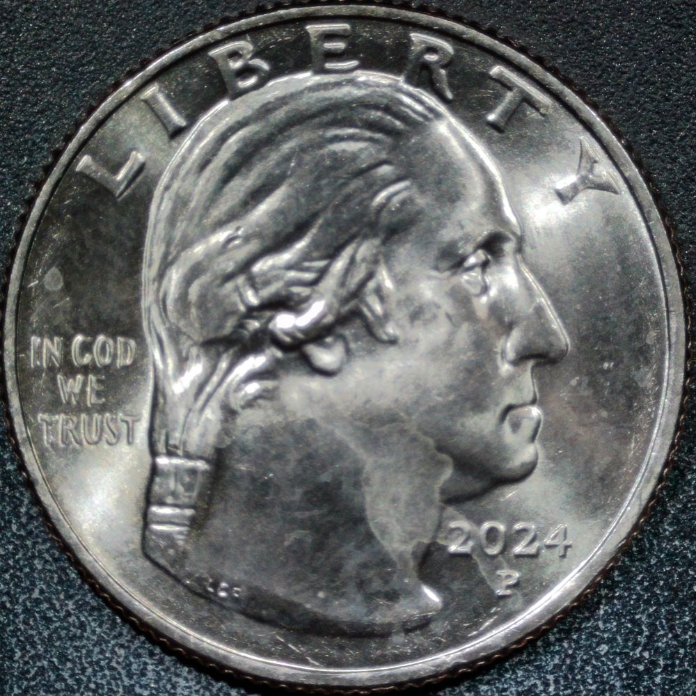2024-P-Zitkala-�a-Quarter:-Unlisted-DDR-#3