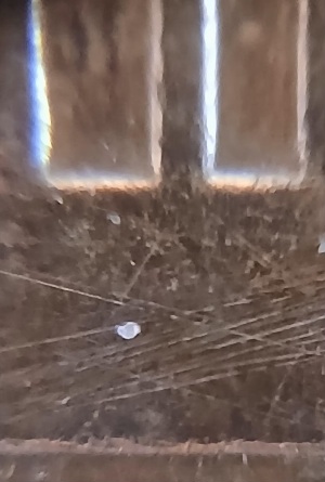1972-Lincoln-Memorial-Cent-Looks-Like-The-Memorial-Steps-Misplaced